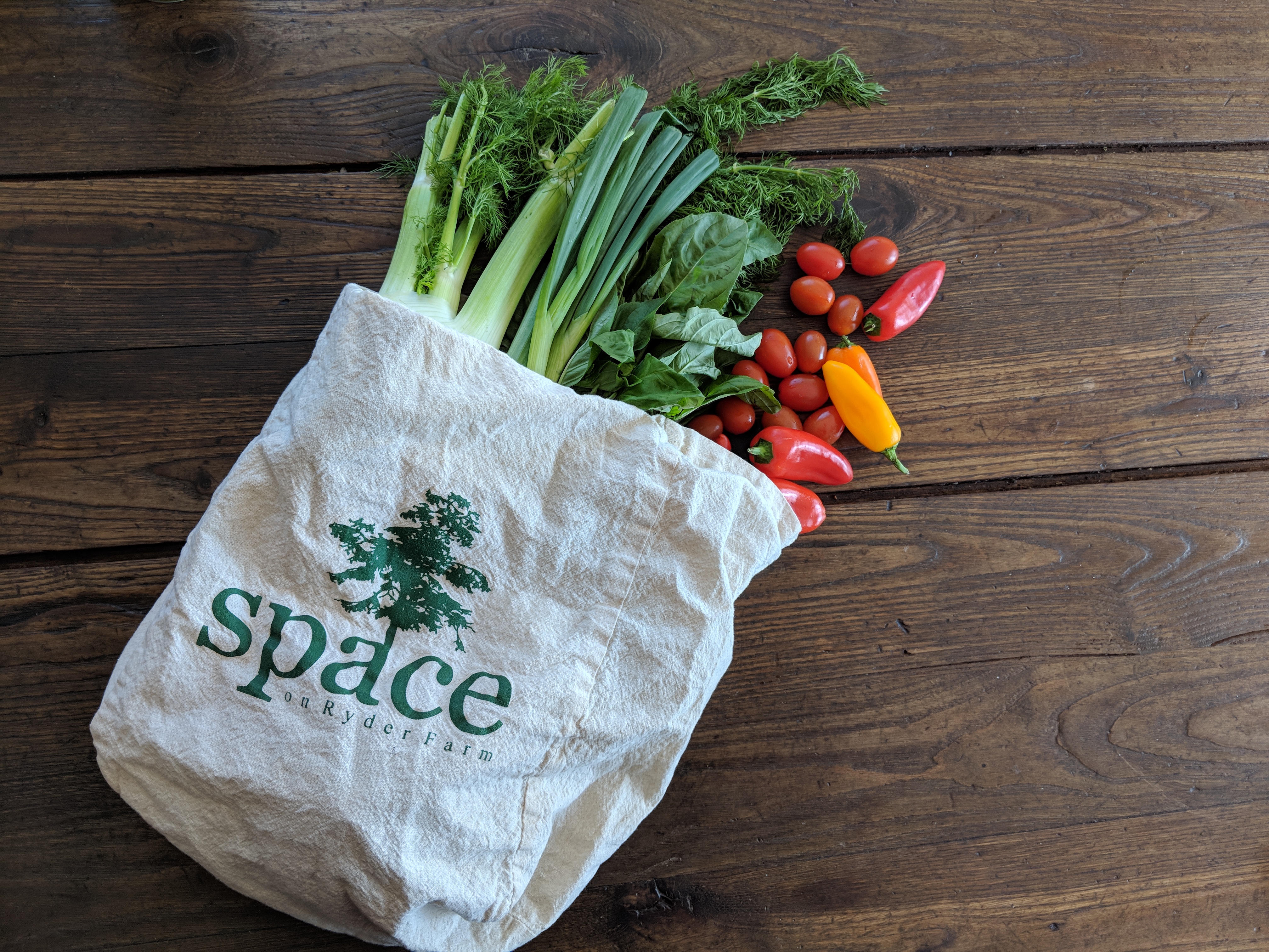 Farm Fresh Produce - CSA with SPACE on Ryder Farm