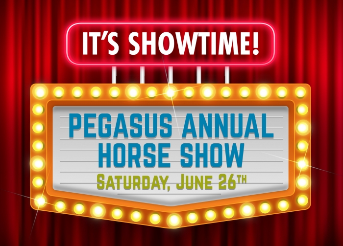 39th Annual Pegasus Horse Show