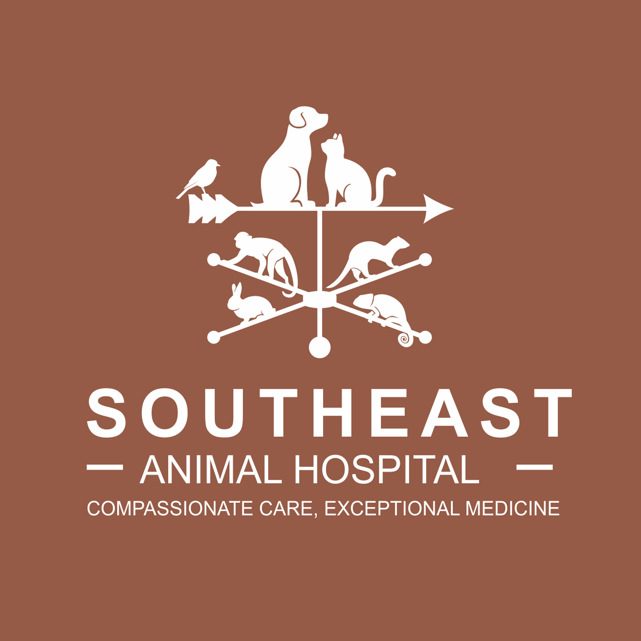 Southeast Animal Hospital | Brewster Chamber Of Commerce