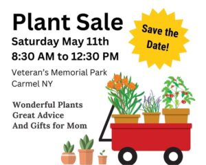 May Plant Sale 1