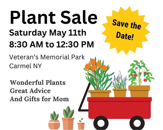 Annual Plant Sale