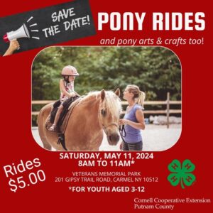 save the date pony rides